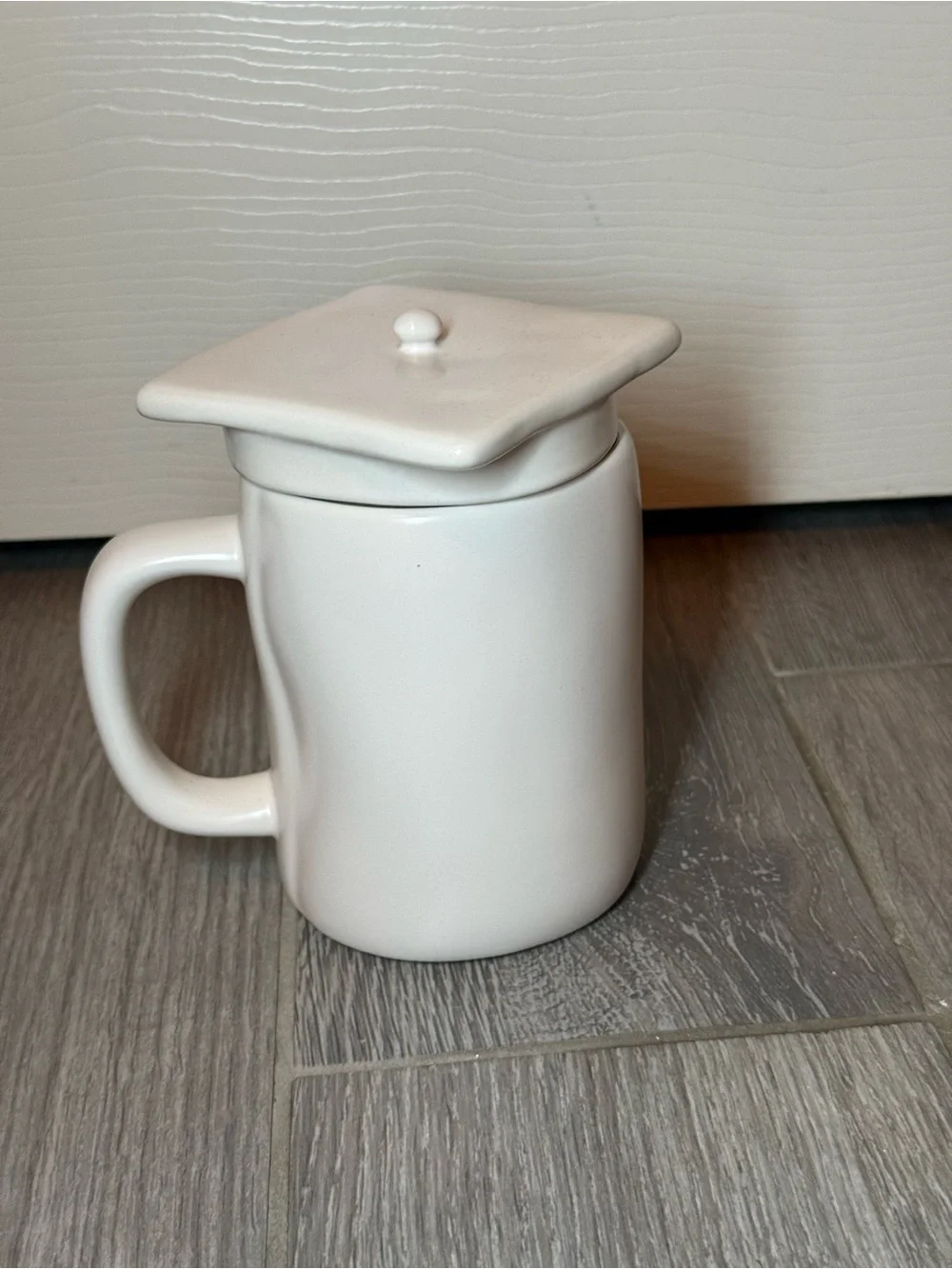 NWOT Rae Dunn Class of 2024 Mug